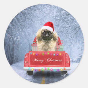 Pekingese Hund im Schnee sitzend im Weihnachtswage Runder Aufkleber