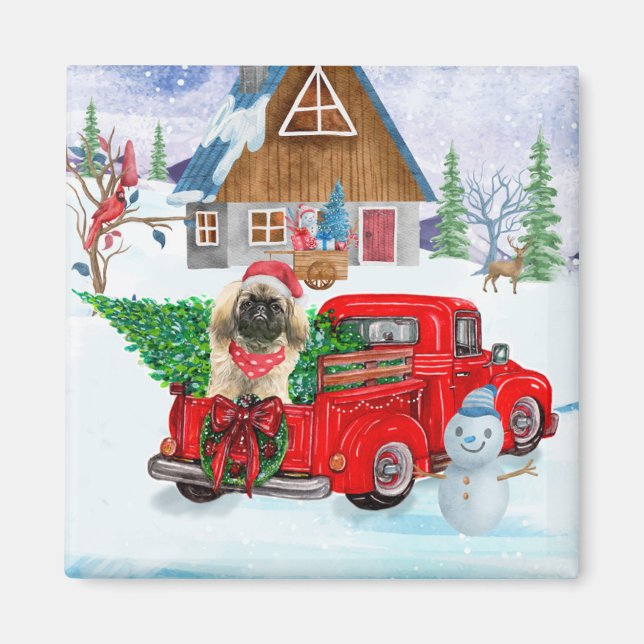 Pekingese Hund in der Weihnachtslieferung LKW Schn Magnet (Vorne)