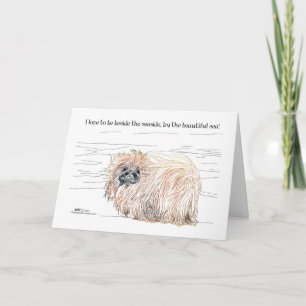Pekingese-Hund Notizen