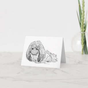 Pekingese-Hund Notizen