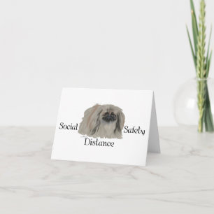 Pekingese-Hund Notizen
