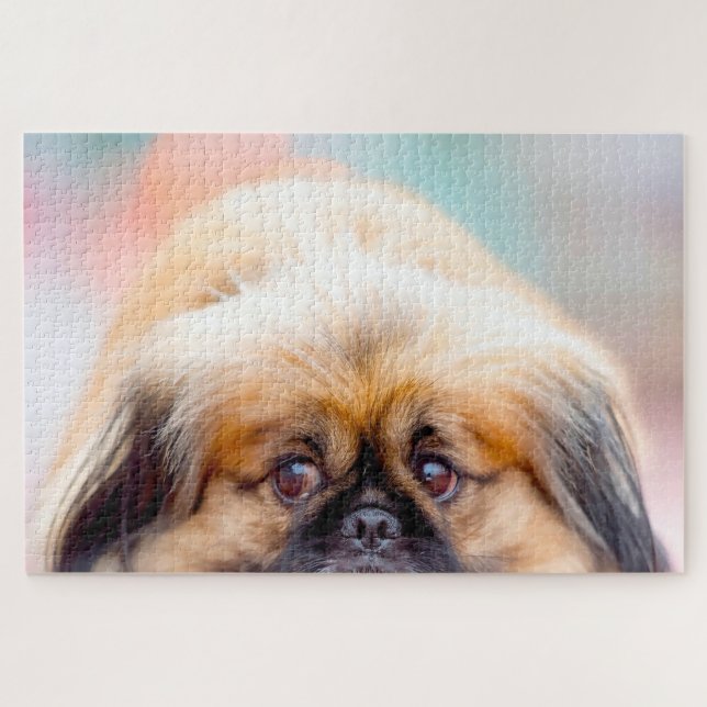 Pekingese Hund. Puzzle (Horizontal)
