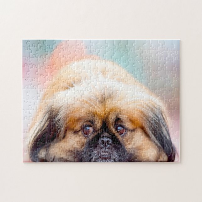 Pekingese Hund. Puzzle (Horizontal)