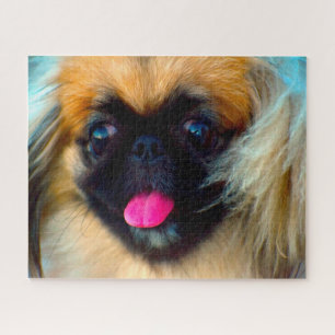 Pekingese Hund. Puzzle