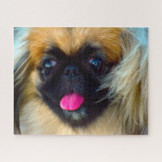 Pekingese Hund. Puzzle (Horizontal)