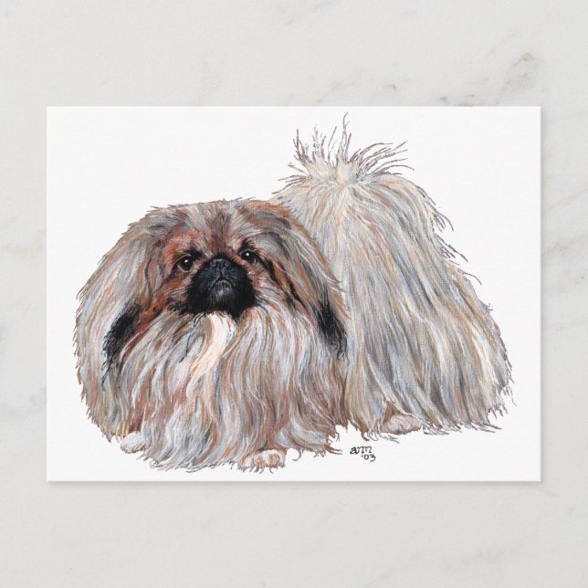 Pekingese Hund Stehend Postkarte (Vorderseite)