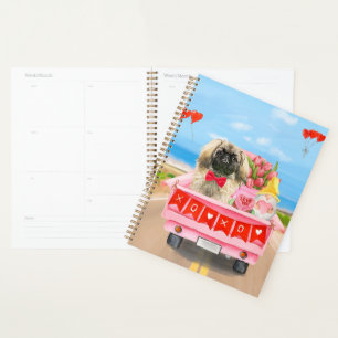 Pekingese Hund Valentinstag Lkw Herz Planer