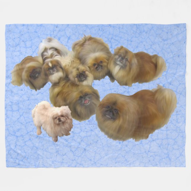 Pekingese Hunde auf blau Fleecedecke (Vorderseite (Horizontal))