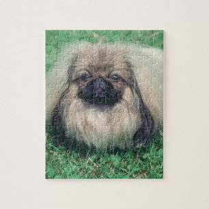 Pekingese Hundepuzzlespiel Puzzle