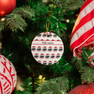 Pekingese-Hunderasse Weihnachtssterne Keramik Ornament