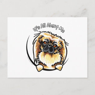 Pekingese IAAM Postkarte