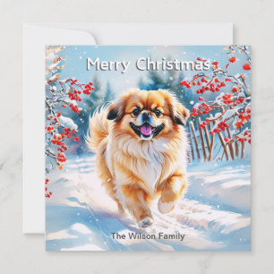 Pekingese im Schnee Winter Frohe Weihnachten