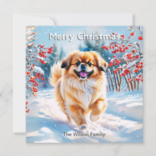Pekingese im Schnee Winter Frohe Weihnachten