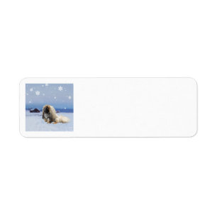 Pekingese im Winter