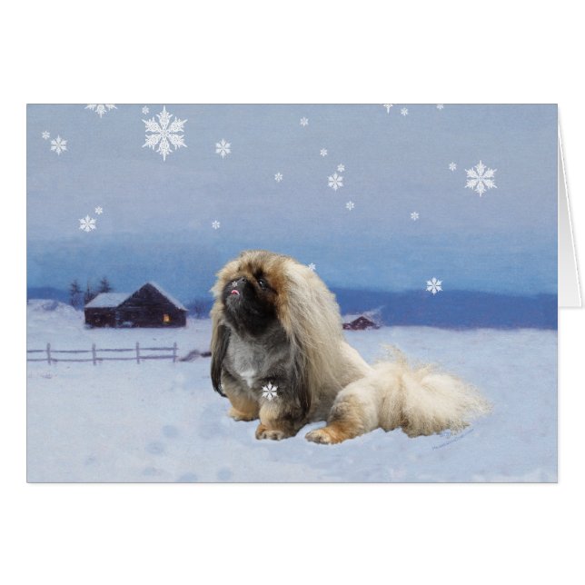 Pekingese im Winter (Vorderseite (Horizontal))