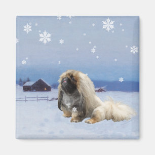 Pekingese im Winter Magnet