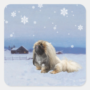 Pekingese im Winter Quadratischer Aufkleber
