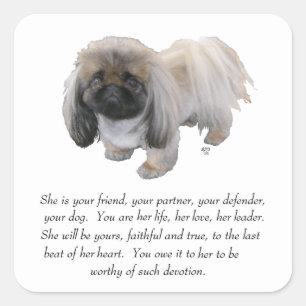 Pekingese Keepake — FEMALE Quadratischer Aufkleber