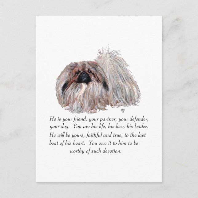 Pekingese Keepake — MALE Postkarte (Vorderseite)