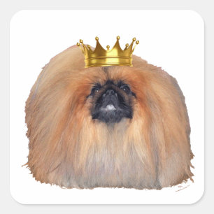 Pekingese King (Customize if you Wish!) Quadratischer Aufkleber