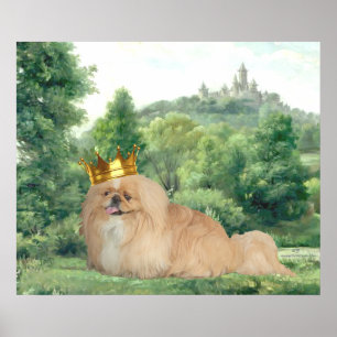 Pekingese King Poster