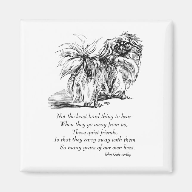 Pekingese Magnet (Vorne)