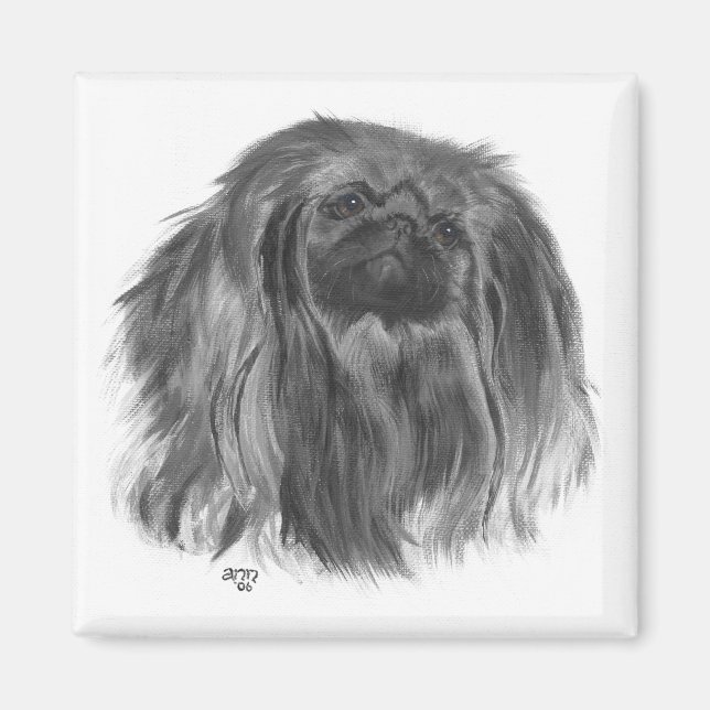 Pekingese Magnet (Vorne)