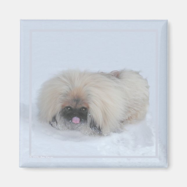 Pekingese Magnet (Vorne)
