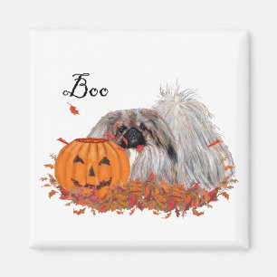 Pekingese Magnet