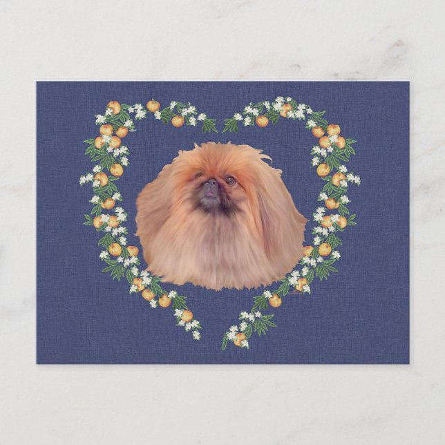 Pekingese Orangenblüten Postkarte (Vorderseite)