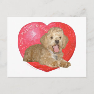 Pekingese/Poodle Mix Valentinstag Feiertagspostkarte
