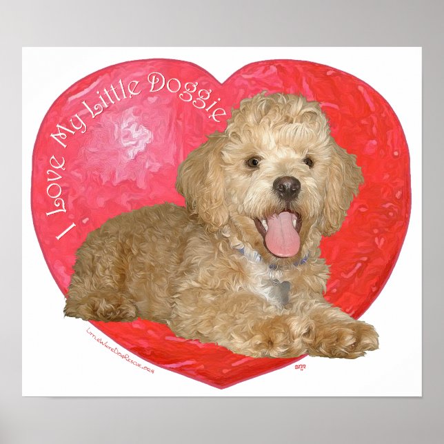 Pekingese/Poodle Mix Valentinstag Poster (Vorne)