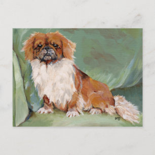 Pekingese postkarte