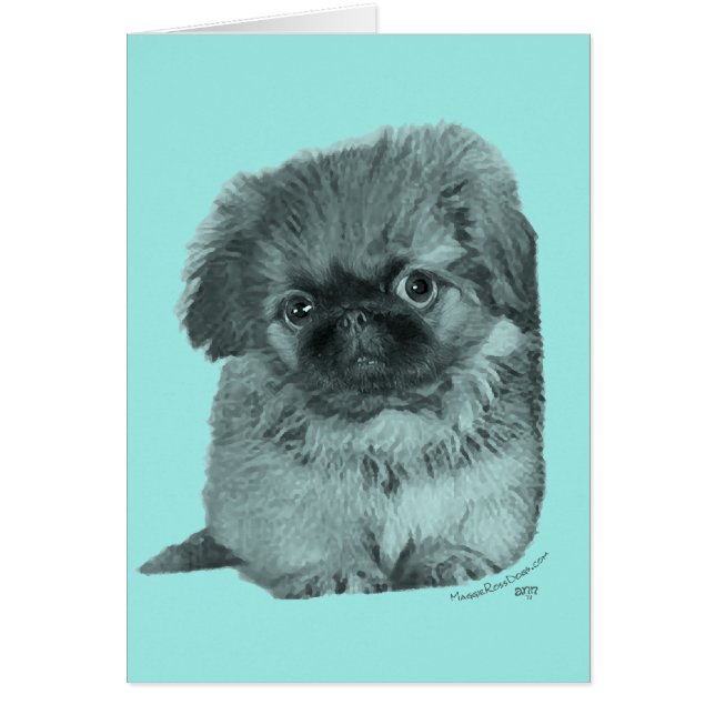 Pekingese Puppy (Vorne)