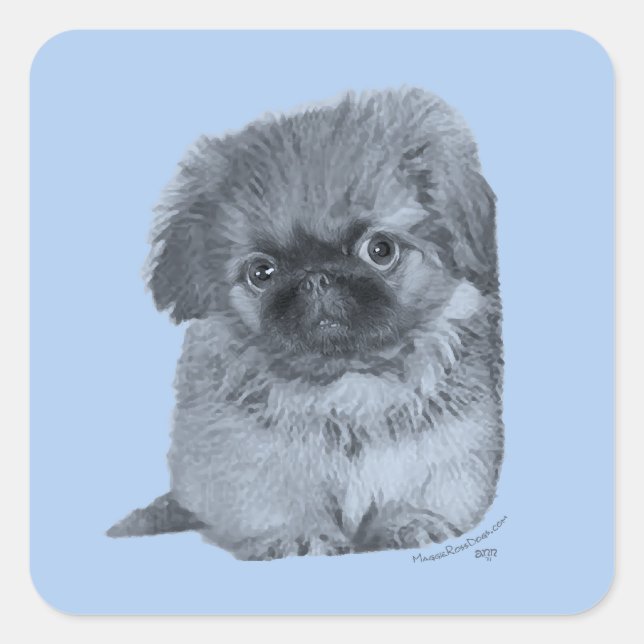 Pekingese Puppy Blue Quadratischer Aufkleber (Vorderseite)