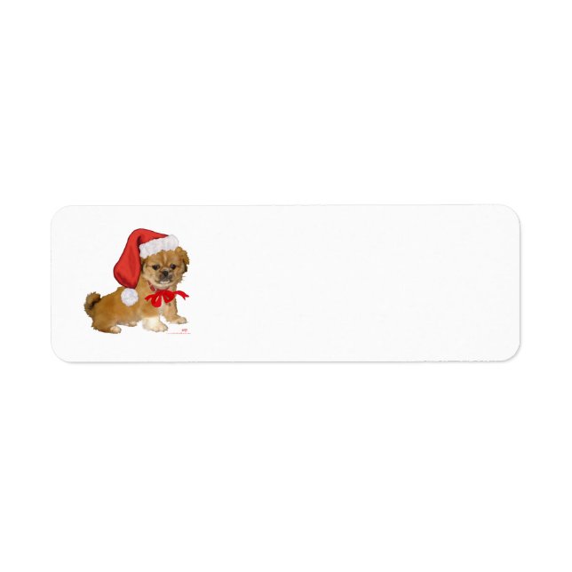 Pekingese Puppy Christmas (Vorne)