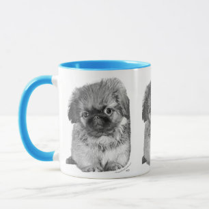Pekingese Puppy Tasse