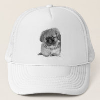 Pekingese Puppy