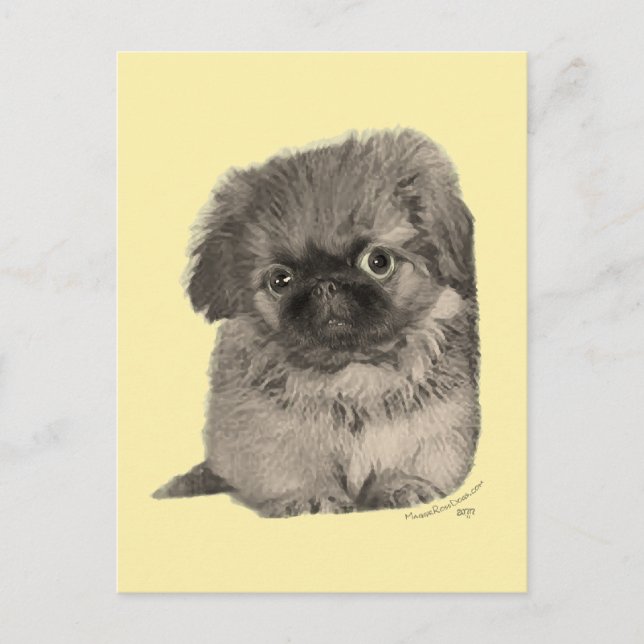 Pekingese Puppy Yellow Postkarte (Vorderseite)