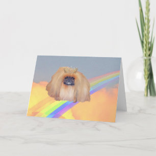 Pekingese Rainbow Karte