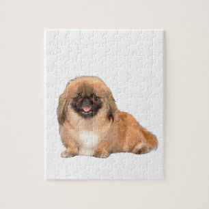 Pekingese (rot, schwarze Maske #1) Puzzle