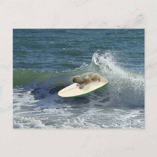Pekingese Sailers Postkarte (Vorderseite)