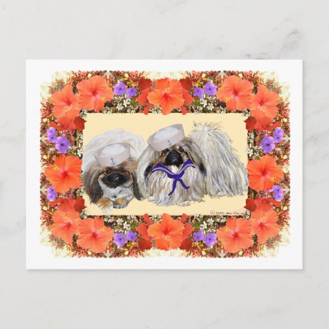 Pekingese Sailers Postkarte (Vorderseite)