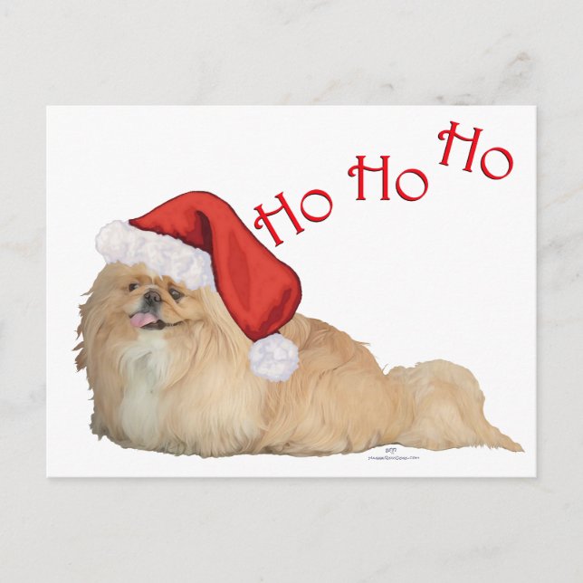 Pekingese Santa Claus Feiertagspostkarte (Vorderseite)