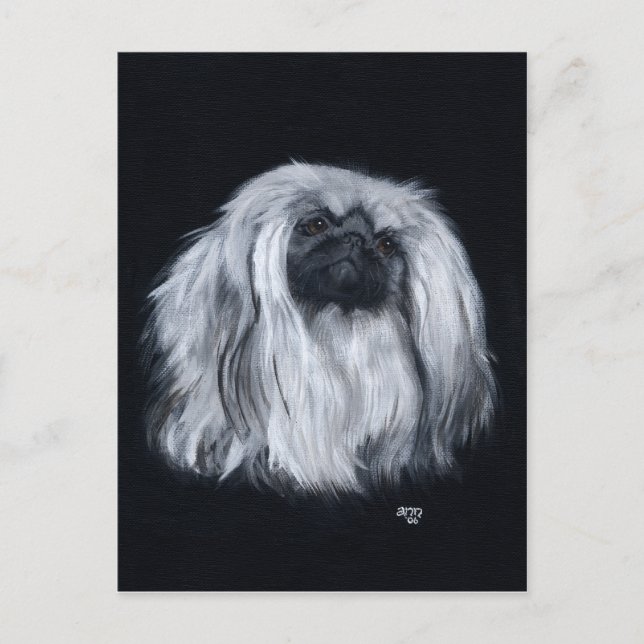 Pekingese Schwarz/Weiß Postkarte (Vorderseite)