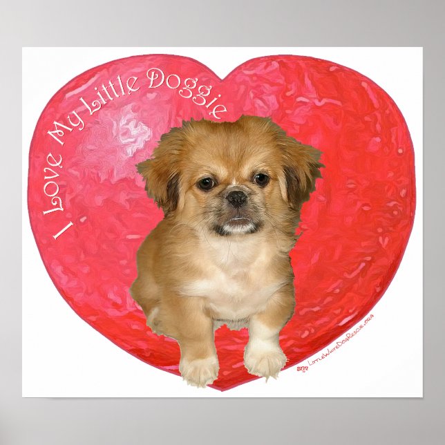 Pekingese / Shih Tzu Valentinstag Poster (Vorne)