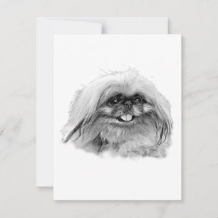 Pekingese Stationery - leere Karte "JenaSota"
