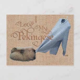 Pekingese Tauziehen Postkarte