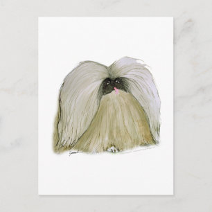 Pekingese, tony fernandes postkarte