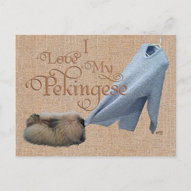 Pekingese Tug-O-Krieg Postkarte (Vorderseite)